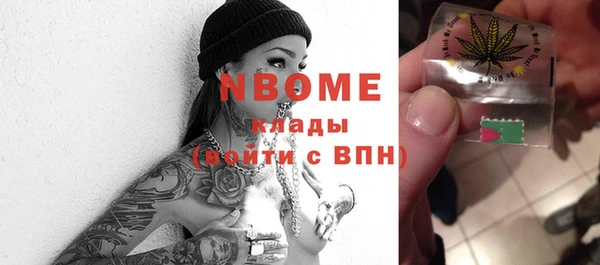 прущие грибы Вязьма