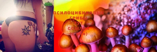 стафф Горнозаводск