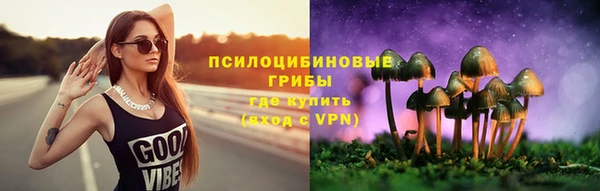 прущие грибы Вязьма
