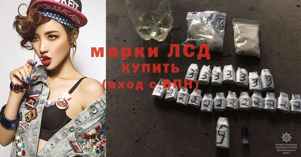 стафф Горнозаводск