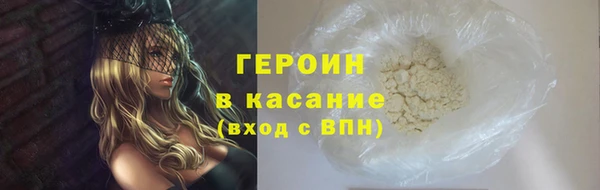 прущие грибы Вязьма