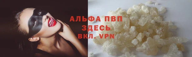 стафф Горнозаводск