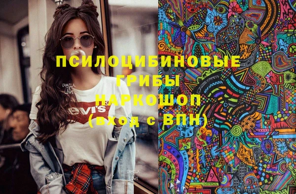 стафф Горнозаводск