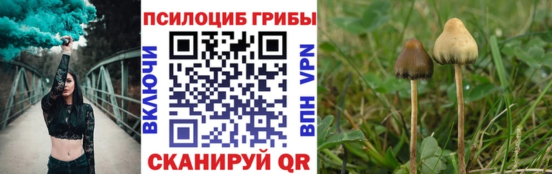 Галлюциногенные грибы MAGIC MUSHROOMS  Перевоз 